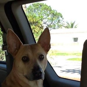 Meet your Posher, Ann